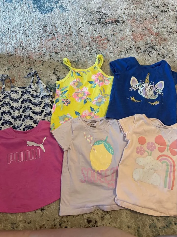 Toddler Summer Clothes Lot #3 image indicator(2)