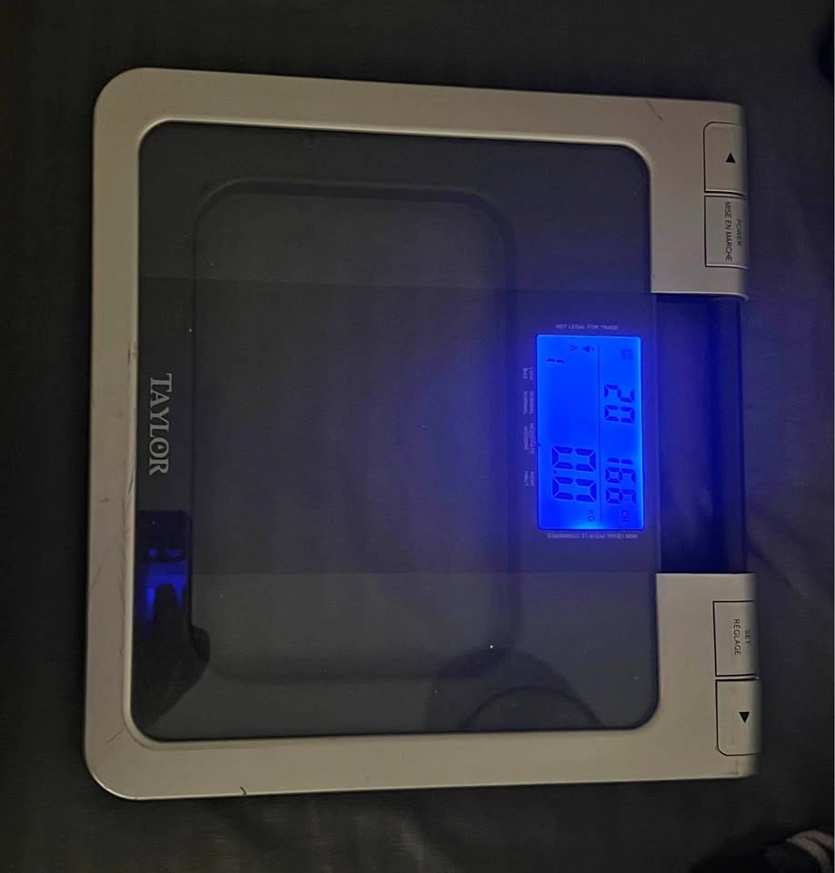 Taylor Digital Weighing Scale