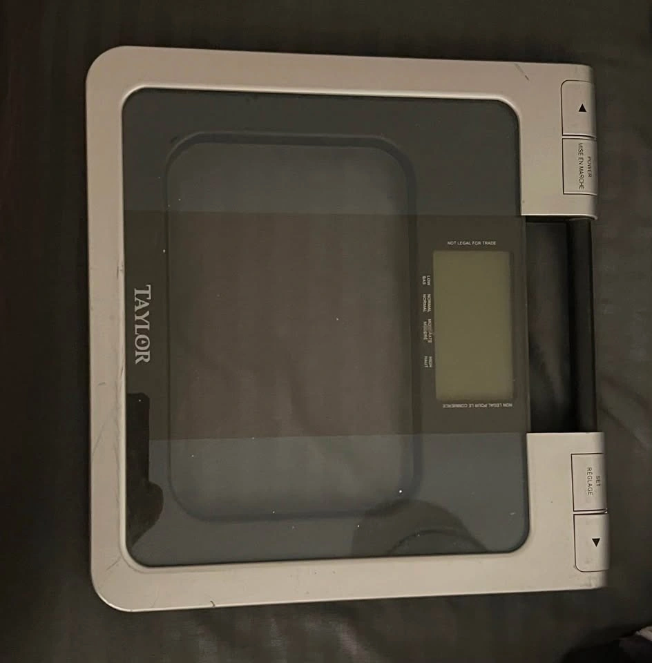 Taylor Digital Weighing Scale - photo 2