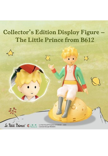 New Pantasy 86336 Le Petit Prince Starry Garden Building Set - photo 5