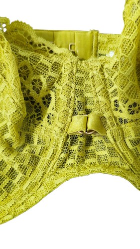 NWT Darjeeling Paris Yellow Green Lace Bra, FR 95D US 36D - photo 5
