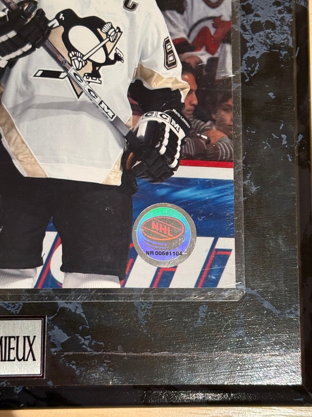 Sidney Crosby and Mario Lemieux Plaque - photo 4