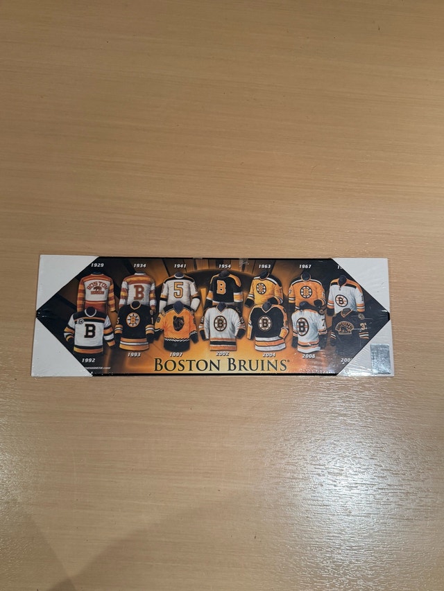 Boston Bruins Jersey Evolution Plaque NHL