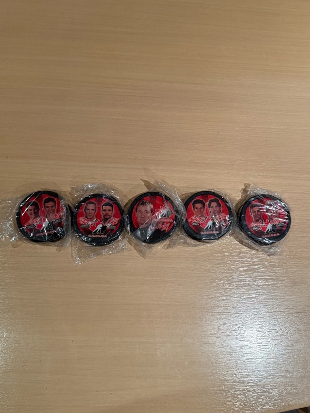 Team Canada Hockey Player Collector Pucks