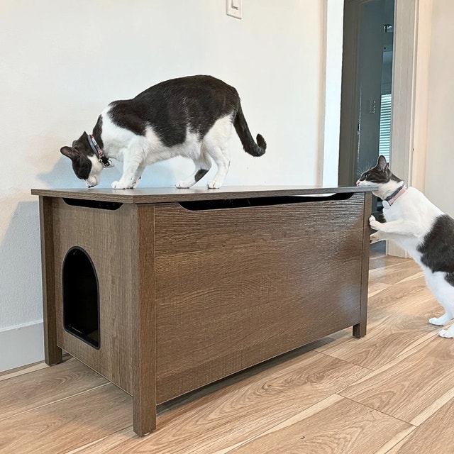 Cat Litter Box Enclosure - photo 2