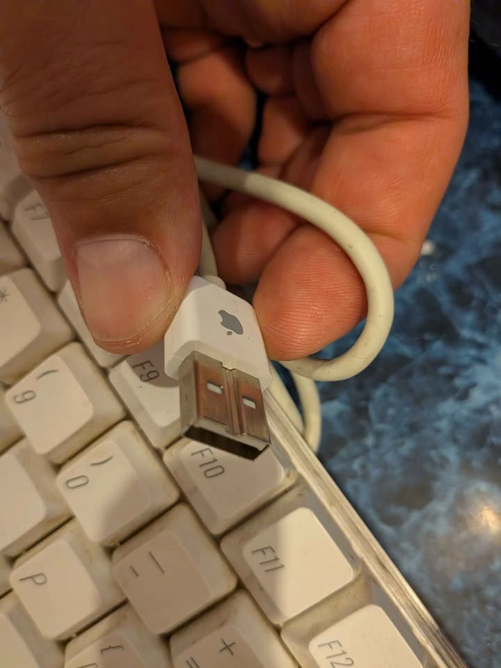 Apple keyboard - photo 4