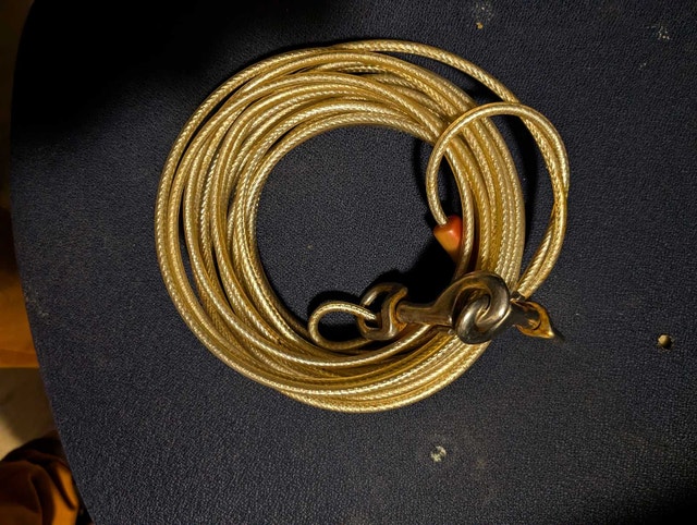 25ft Dog Tie-Out Cable