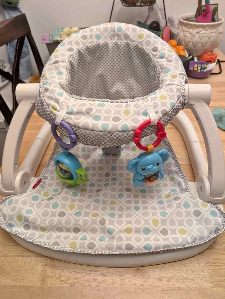 Fisher-Price Sit-Me-Up Floor Seat