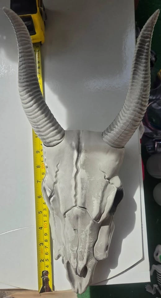 Plastic Longhorn Skull Halloween Decoration - Used Once, Like Ne - photo 2