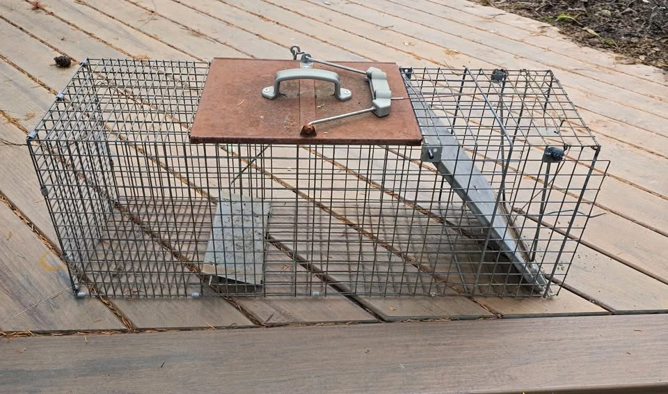 Havahart 1-Door Humane Live Animal Trap (Raccoons, Opossums, Cat - photo 2