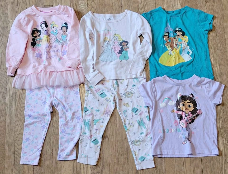 Disney Princess and Gabby 2T