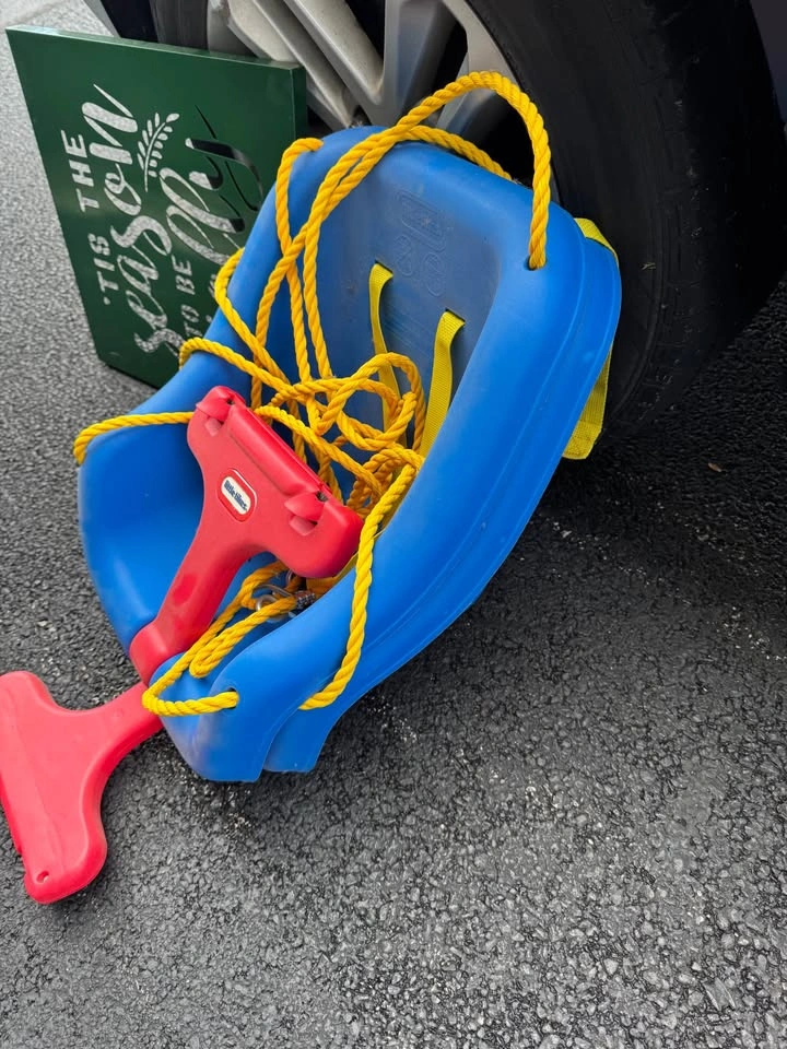 Fisher Price Toddler Tree Swing - photo 2
