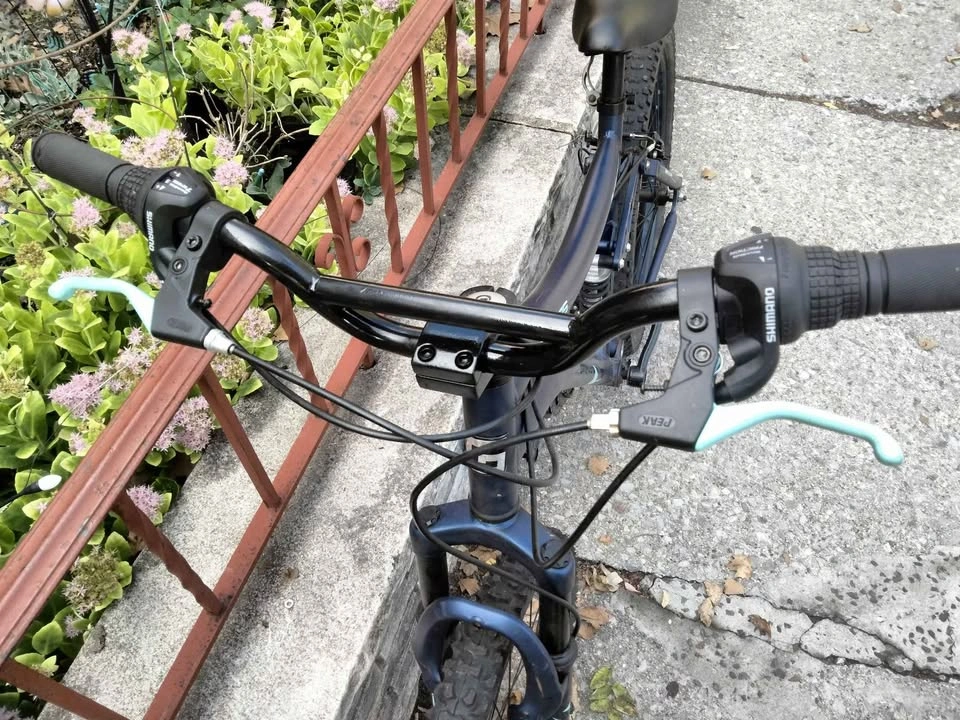 Genesis 24" Mountain Bike - photo 3
