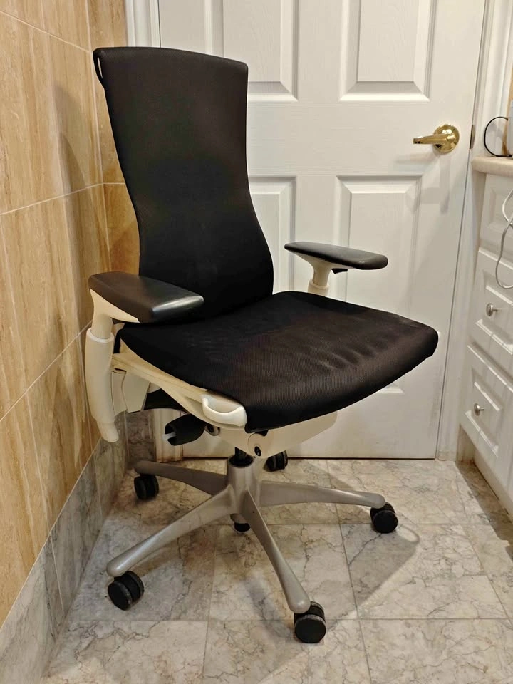 Herman Miller Embody Ergonomic Chair (White/Black)