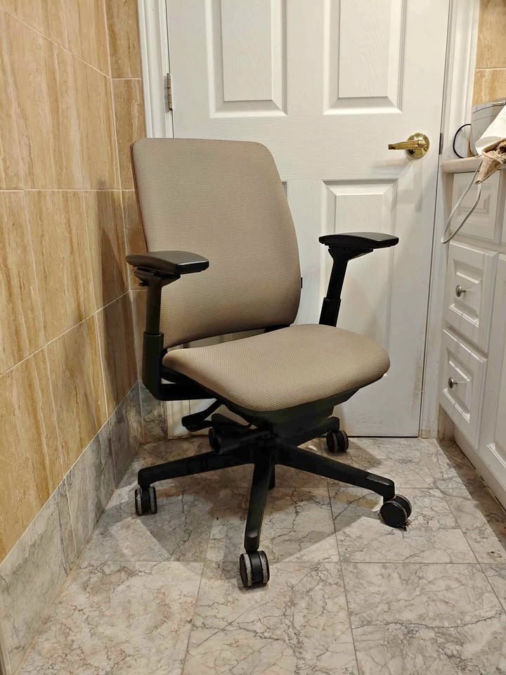Steelcase Amia Task Chair
