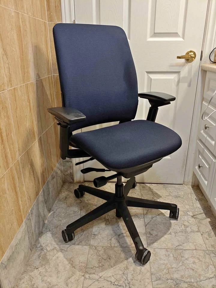 Steelcase Amia Task Chair
