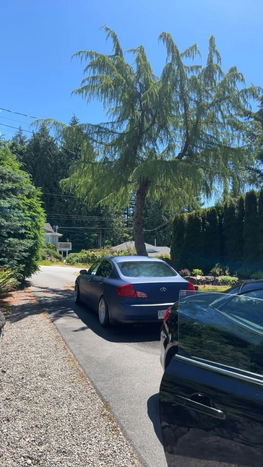 2004 Infiniti G35 - photo 3