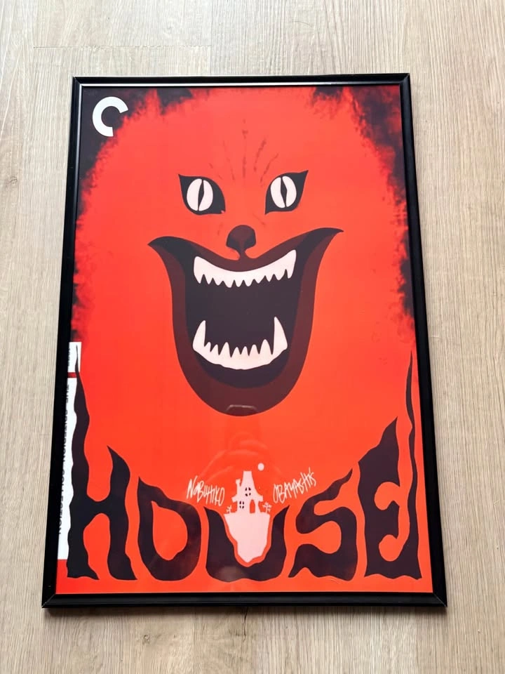 Obayashi’s House framed wall art 13x19” - photo 2