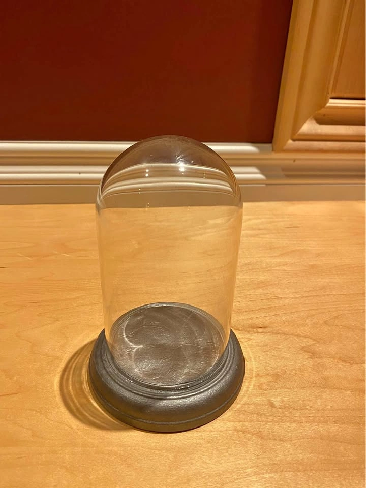 Glass Showcase with Base | 6 Inches | Porch Pickup in South Surr