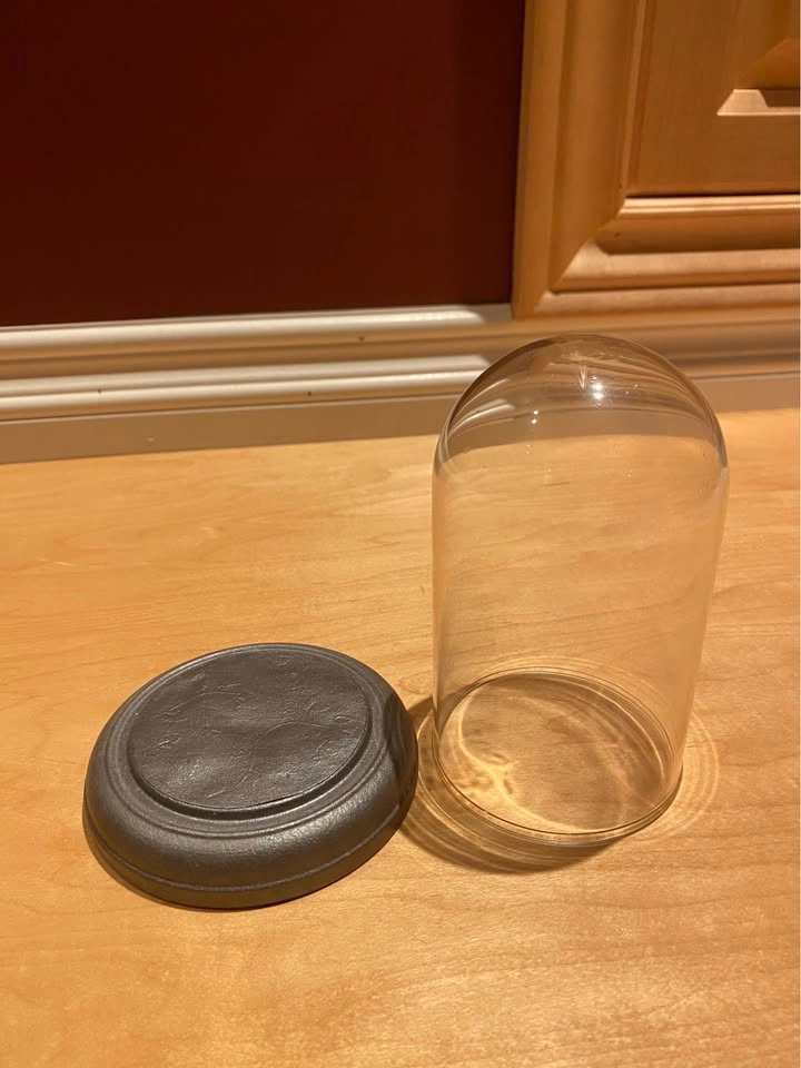 Glass Showcase with Base | 6 Inches | Porch Pickup in South Surr - photo 2