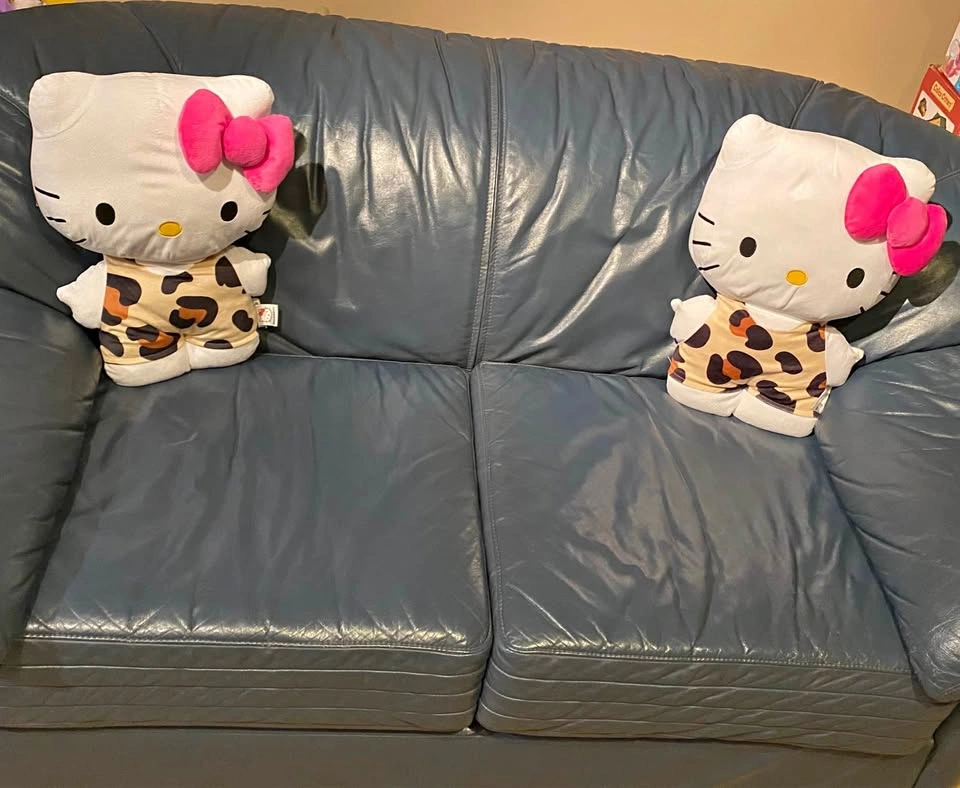Sanrio Hello Kitty Pillows | Porch Pickup in South Surrey