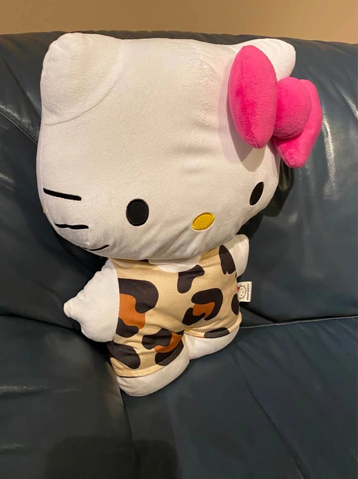 Sanrio Hello Kitty Pillows | Porch Pickup in South Surrey - photo 2