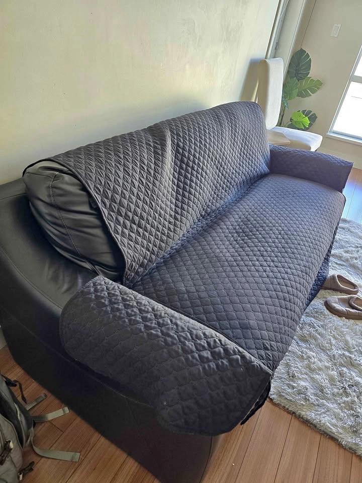 Couch sofa for free