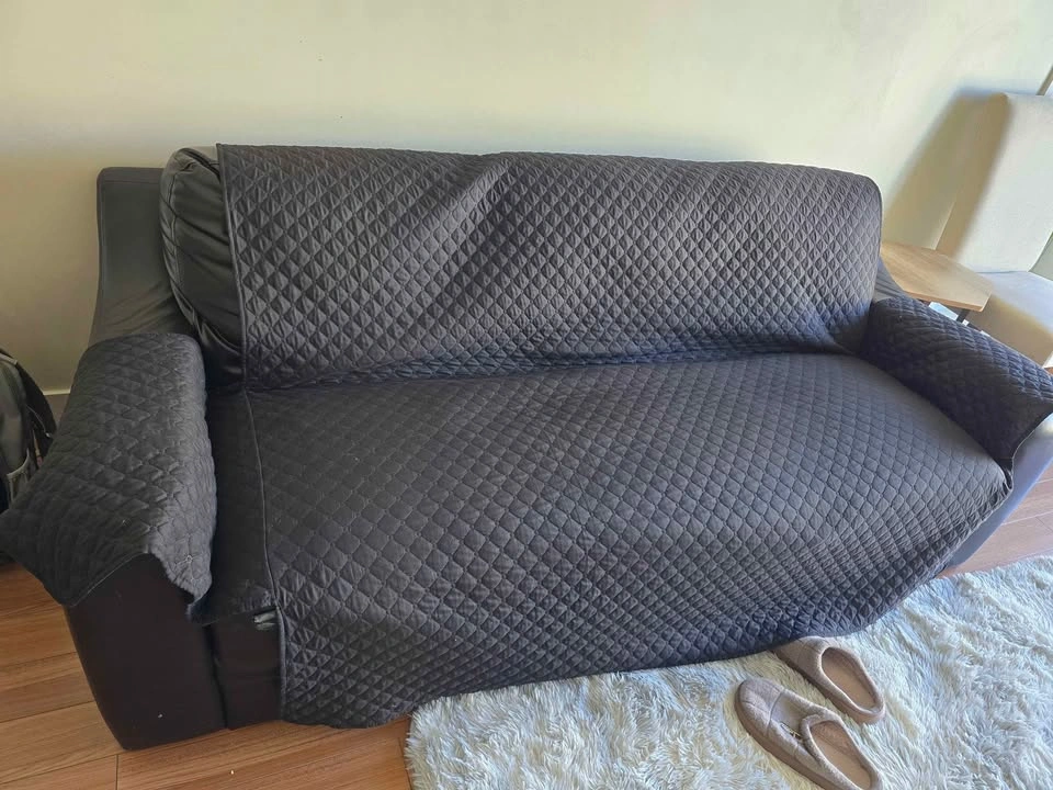 Couch sofa for free - photo 2