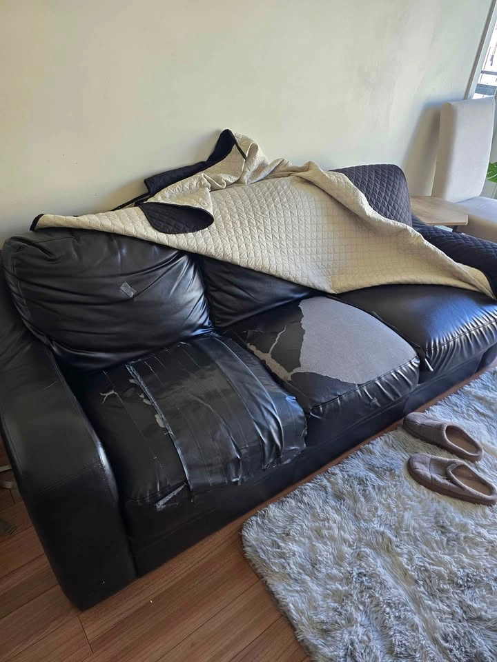 Couch sofa for free - photo 3