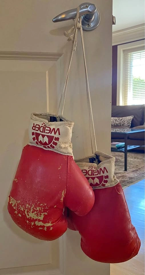 Weider 10oz Boxing Gloves