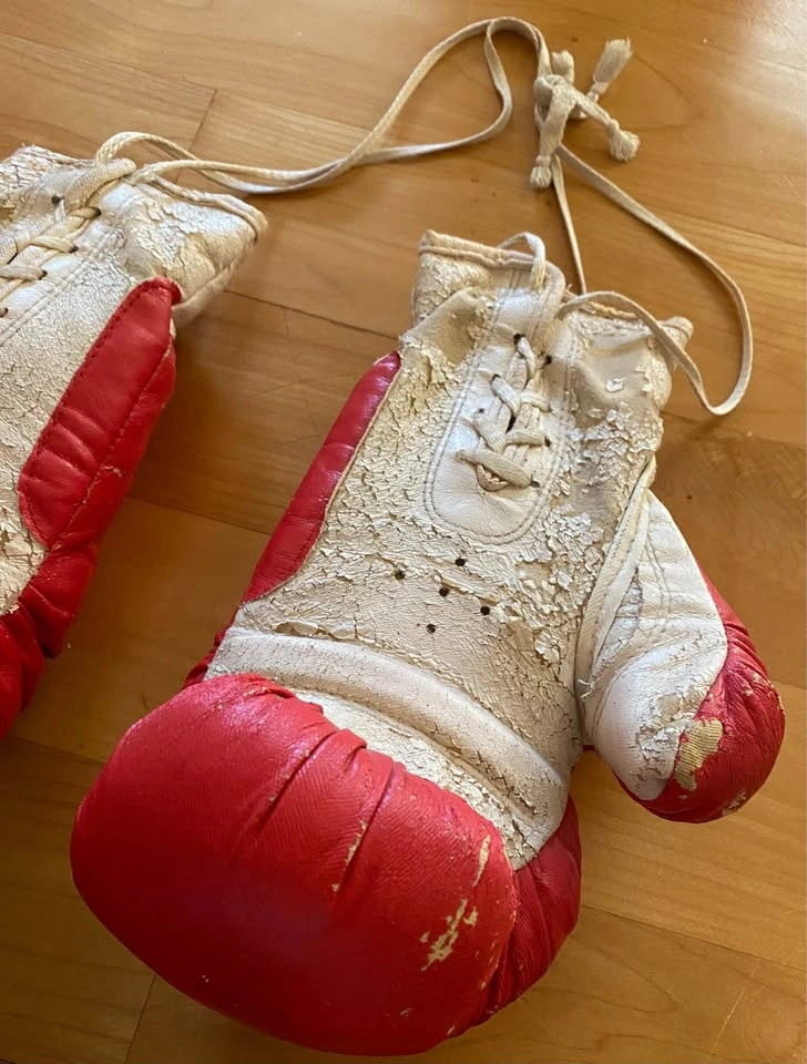 Weider 10oz Boxing Gloves - photo 4