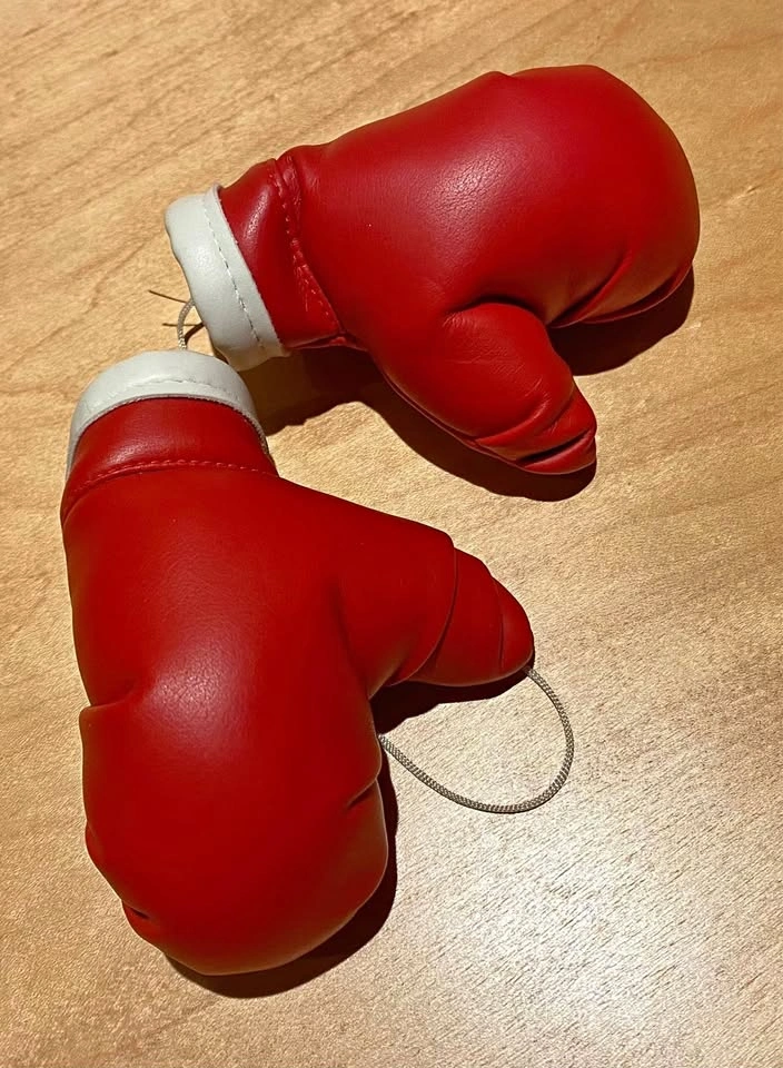 Mini Boxing Gloves Rear View Mirror | Porch Pickup in South Surr