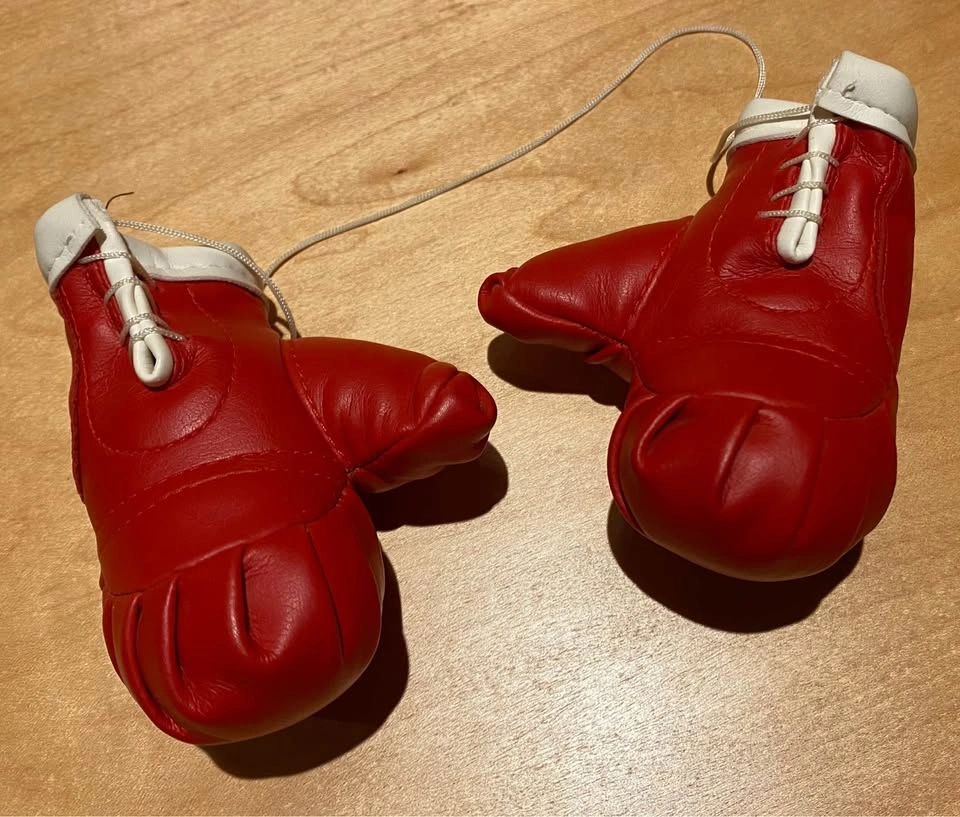 Mini Boxing Gloves Rear View Mirror | Porch Pickup in South Surr - photo 2