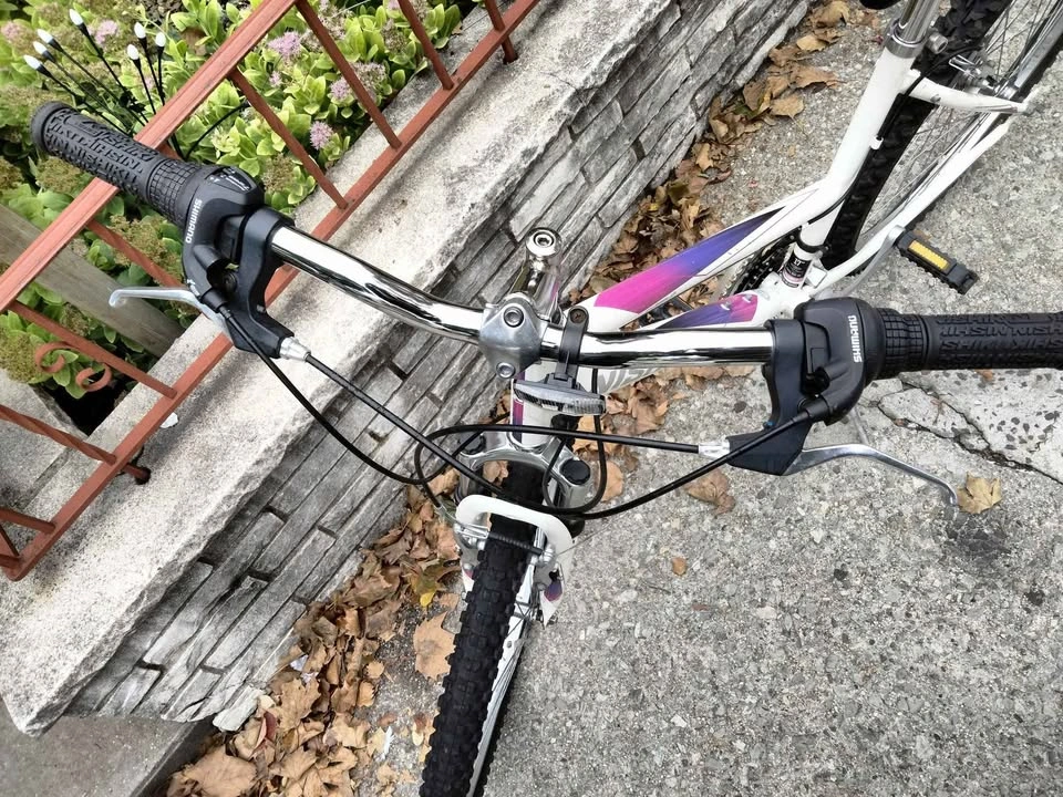 Nishiki 26" Mountain Bike - photo 4