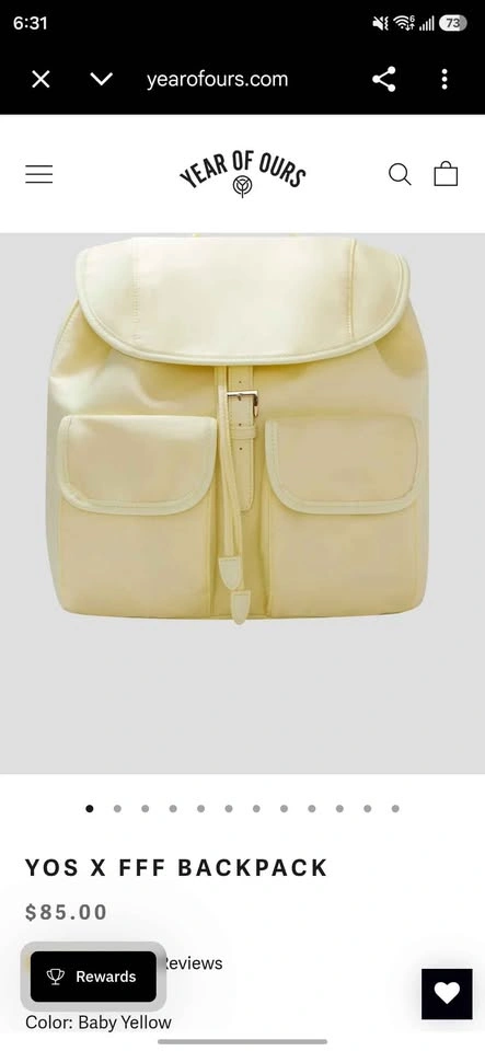 Year of Ours Backpack - photo 5