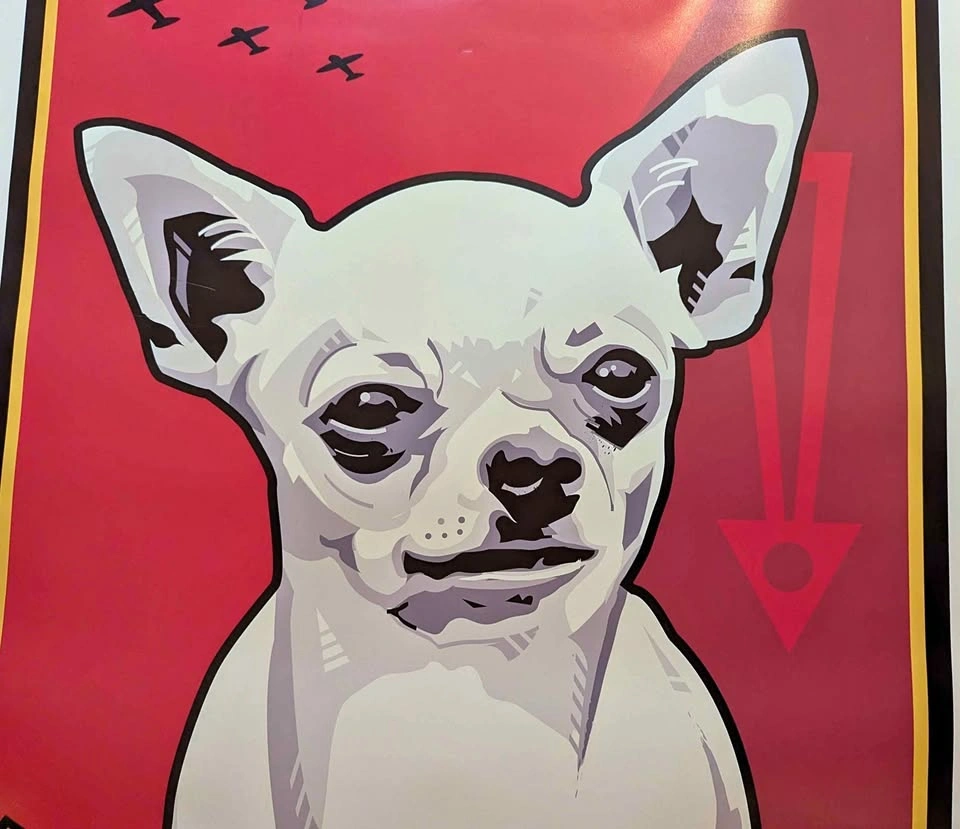 Chihuahua Poster | South Surrey / White Rock