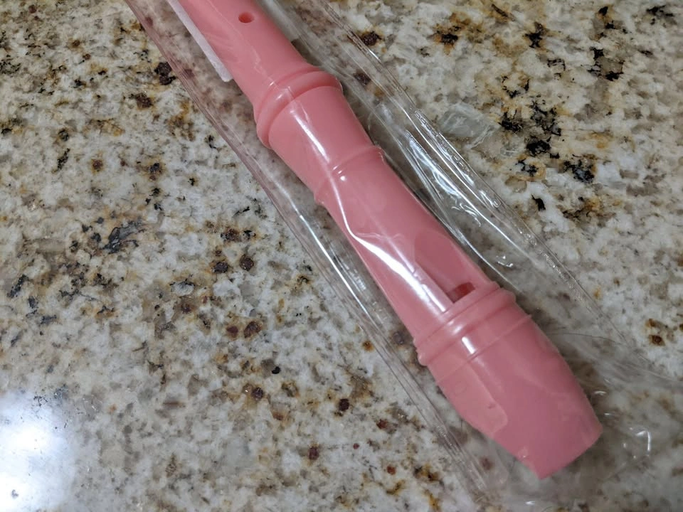 Pink Recorder | South Surrey / White Rock