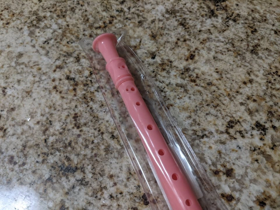 Pink Recorder | South Surrey / White Rock - photo 2