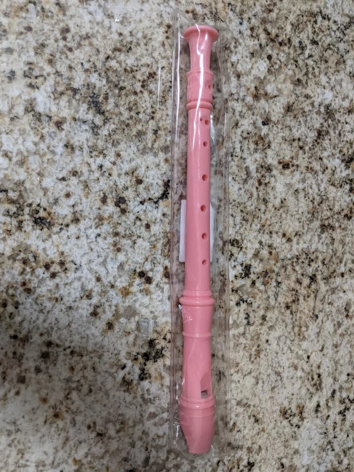 Pink Recorder | South Surrey / White Rock - photo 3