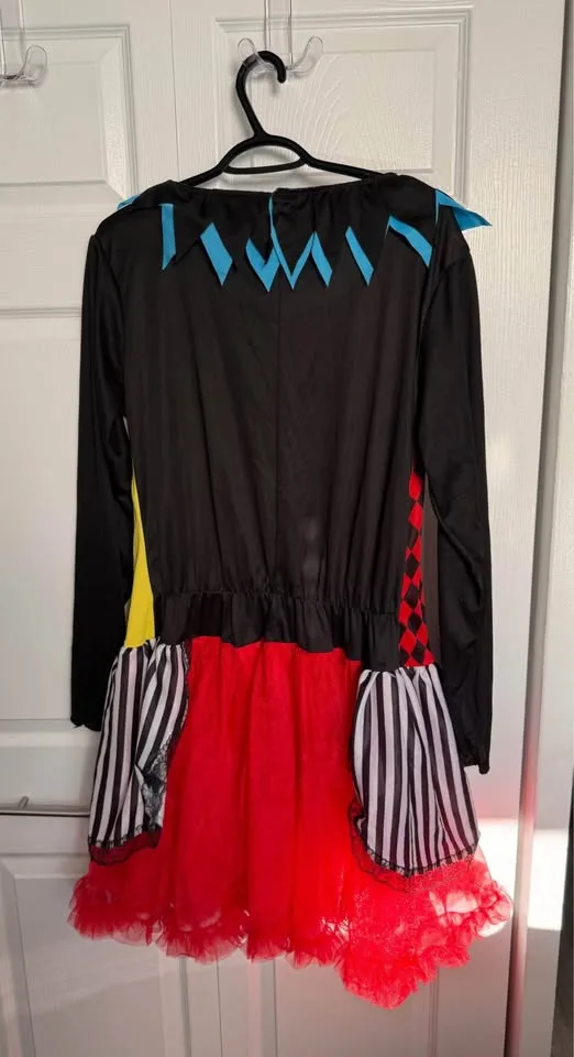 Woman’s Jester Costume image indicator(2)