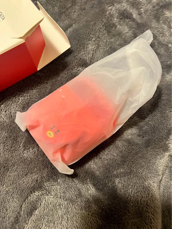 New BTS BT21 Tata Airpods Case - photo 3