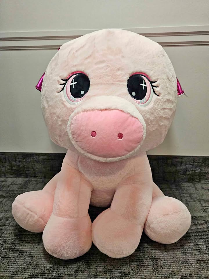 Stuffed Animal