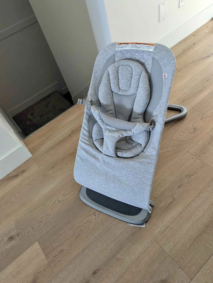 Ergobaby Evolve 3-in-1 Bouncer