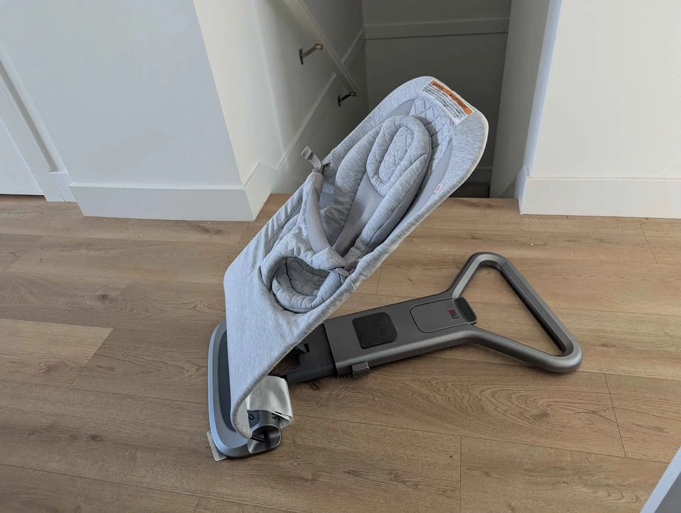 Ergobaby Evolve 3-in-1 Bouncer - photo 3