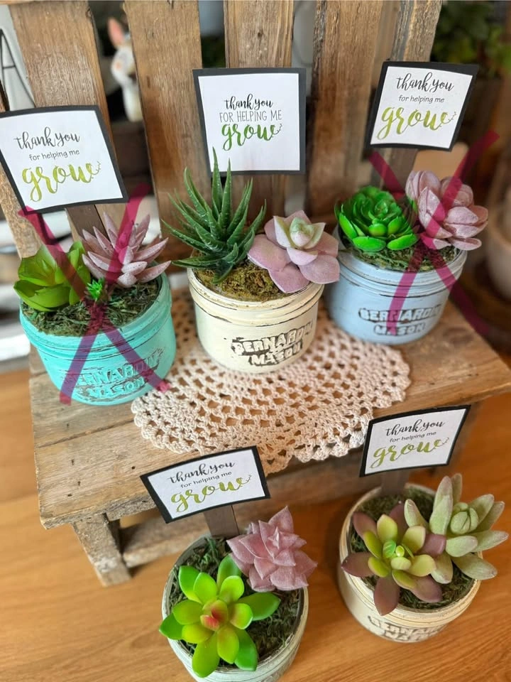 Teacher Gift Mini Artificial Succulent Garden ($15/each) - photo 2