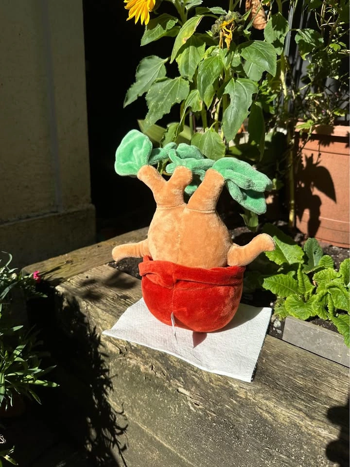 Universal Studios Wizarding World of Harry Potter Mandrake Plush - photo 2