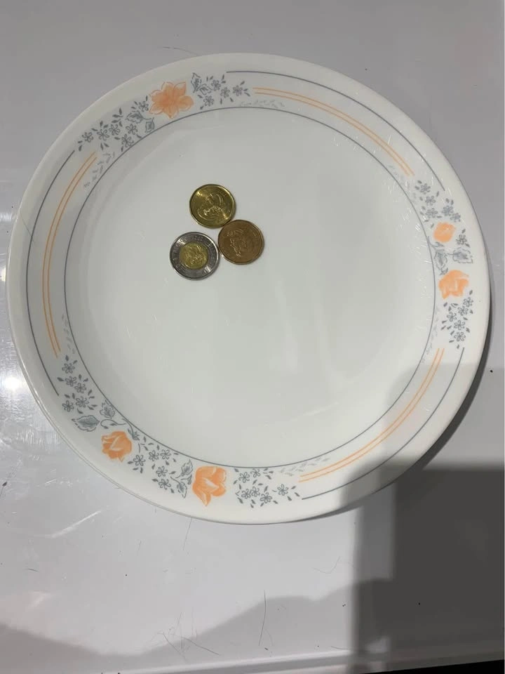 Mixed set 12” Corelle Dinnerware plates xL - photo 3