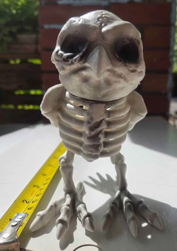 Plastic Skeleton Owl Halloween Decoration – Used Once, Like New - photo 2
