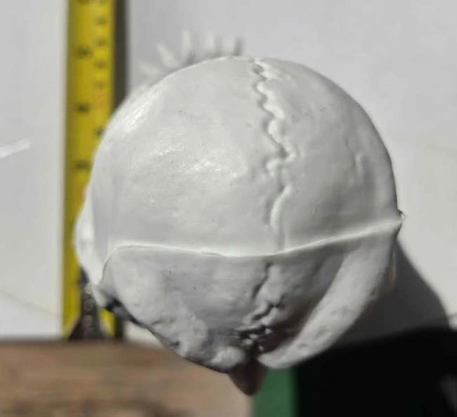 Plastic Skeleton Owl Halloween Decoration – Used Once, Like New - photo 4