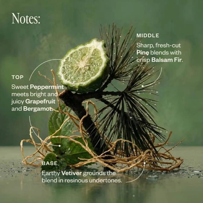 Saje After the Rain Earthy & Verdant Diffuser Blend - photo 2